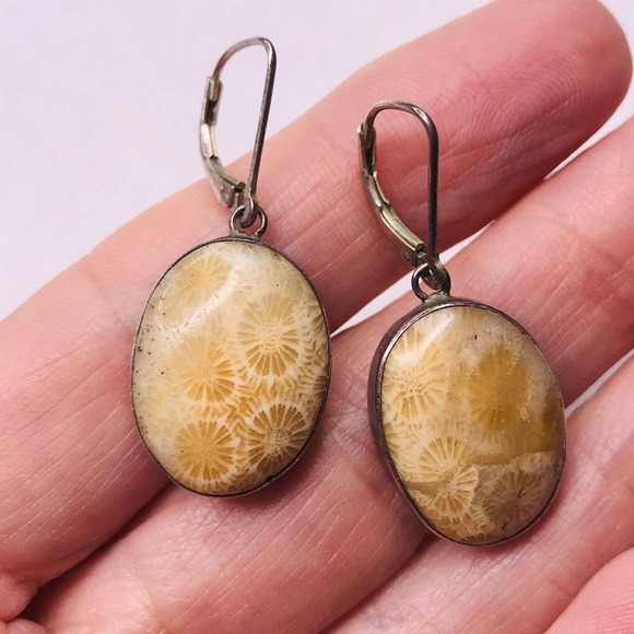 Fossilized Coral Dangle Earrings Sterling Silver Tone French Hook Stunning - Picture 1 of 6